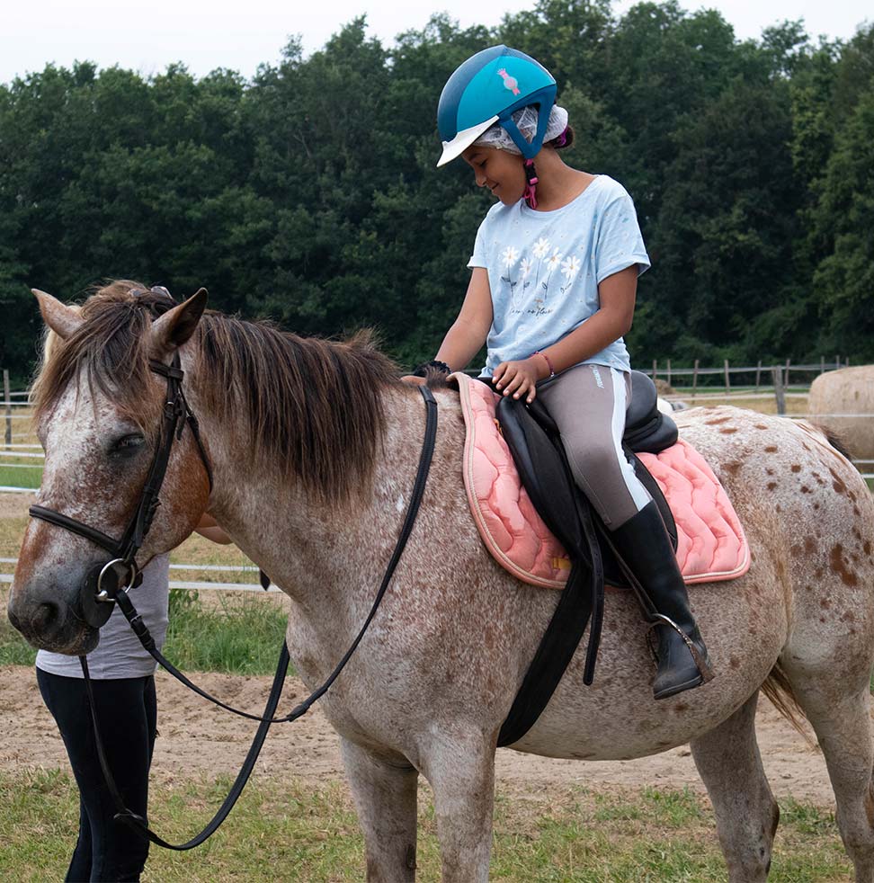 Équitation
