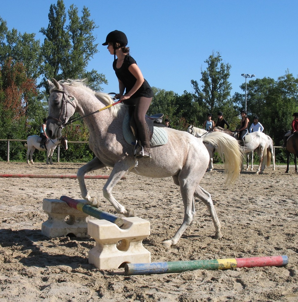 Equitation dans la carrière de Villeréal